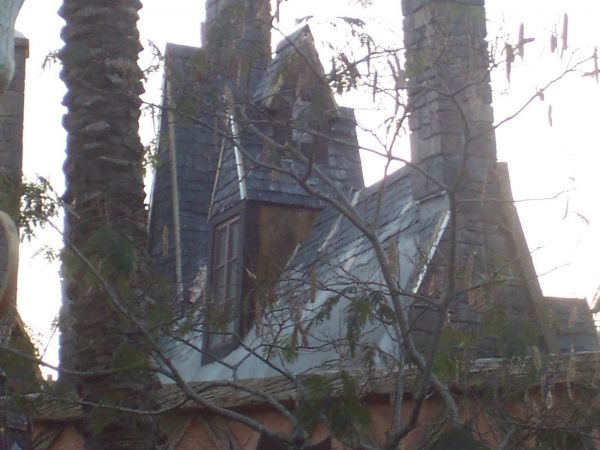 100_4667.JPG