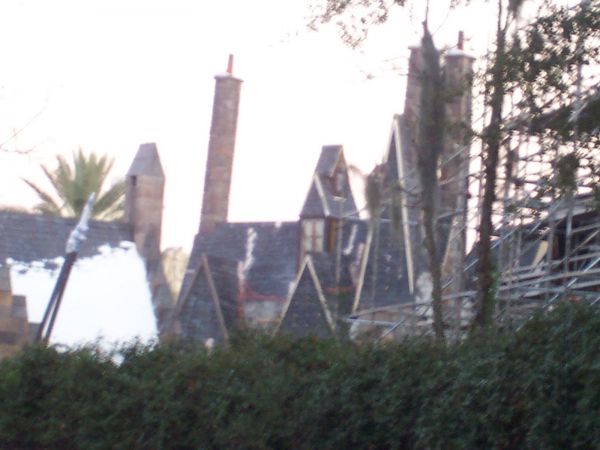 100_4705.JPG