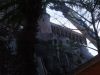 PC190506.jpg