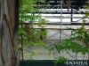 july17_017.jpg