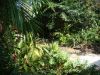 ioa_behind_hp_bridge_exit_a_5_5_2008.jpg