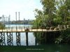 ioa_hp_bridge_from_tree_5_4_2008%20(2).jpg