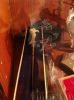 DSC01386_1075x1434.JPG