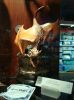 DSC01401_1075x1434.JPG