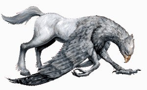 bicuco2_gif.jpg