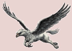 bicuco_gif.jpg