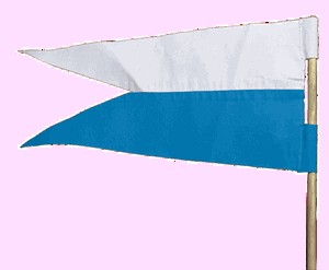 corvinal2_gif.jpg