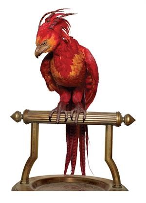 fawkes.jpg
