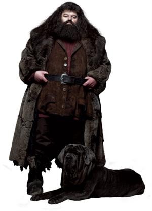 hagrid.jpg