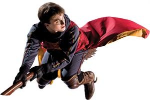 harry3.jpg