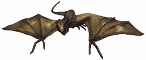 norberto.gif
