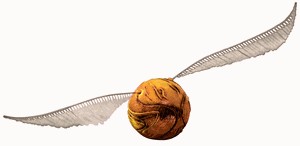 pomodeouro_gif.jpg
