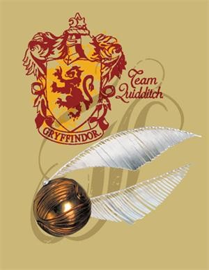 quadribol3.jpg