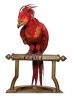 fawkes.jpg