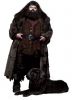 hagrid.jpg