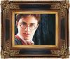 harry2.jpg