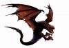 rabocorneo.gif