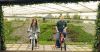 hbc-ChelseaFlowerShow-47.jpg