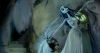 hbc-corpsebride-stills-01.jpg