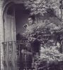 blackandwhite-031.jpg