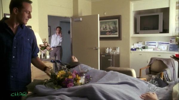PDVD_004.jpg