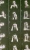 biography10.jpg