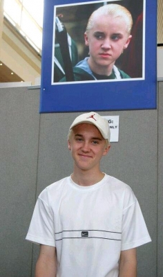 felton_collectormania_2.jpg felton_collectormania_2.jpg