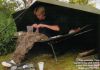 y_cast_totalcarp_felton06.jpg