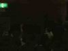 potterish_dan_japan_2002_00_0_602.jpg