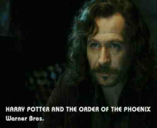 potterish_OnJr_00_2656.jpg potterish_OnJr_00_2656.jpg