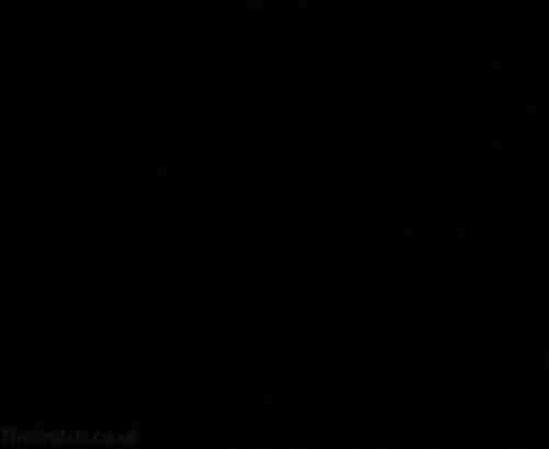 potterish_OnJr_00_27_0.jpg