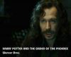 potterish_OnJr_00_2654.jpg