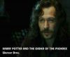 potterish_OnJr_00_2655.jpg