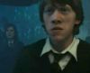 potterish_OnJr_00_2685.jpg