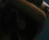 potterish_OnJr_00_2706.jpg