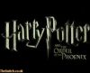 potterish_OnJr_00_2752.jpg