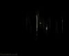 potterish_OnJr_00_27_2.jpg