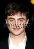 14736529Potterish97200710954AM.jpg