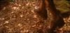 potterish_com_dan_screen_extra_0__28_06__0017.jpg