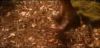 potterish_com_dan_screen_extra_0__28_06__0018.jpg