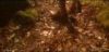 potterish_com_dan_screen_extra_0__28_06__0024.jpg