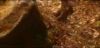potterish_com_dan_screen_extra_0__28_06__002_~0.jpg