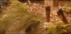 potterish_com_dan_screen_extra_0__28_06__0040.jpg
