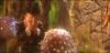 potterish_com_dan_screen_extra_0__28_06__005_.jpg