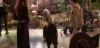potterish_com_dan_screen_extra_0__28_06__1___~2.jpg