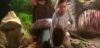 potterish_com_dan_screen_extra_0__28_06__2246.jpg