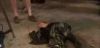 potterish_com_dan_screen_extra_0__28_06__2264.jpg