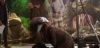 potterish_com_dan_screen_extra_0__28_06__2__6.jpg