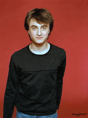 dan11[1].gif