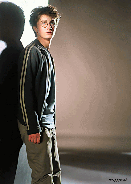 dan12[1].gif